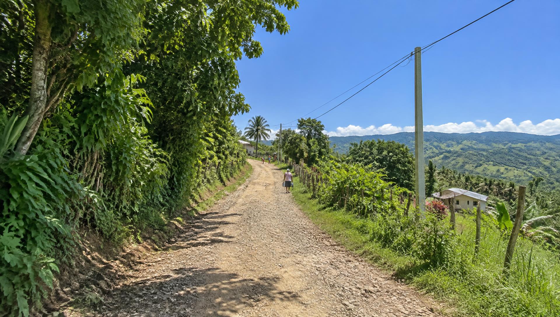 Camino rural entre vegetación de la comunidad
